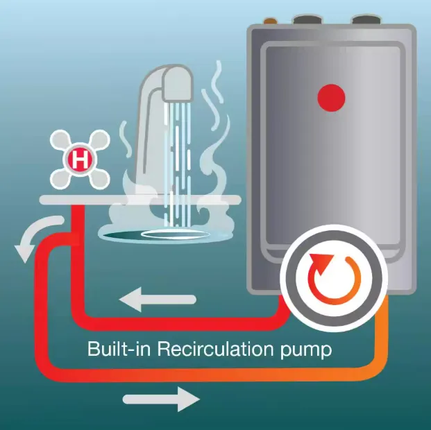 Diagram of a Rheem tankless water heater's built-in recirculation pump